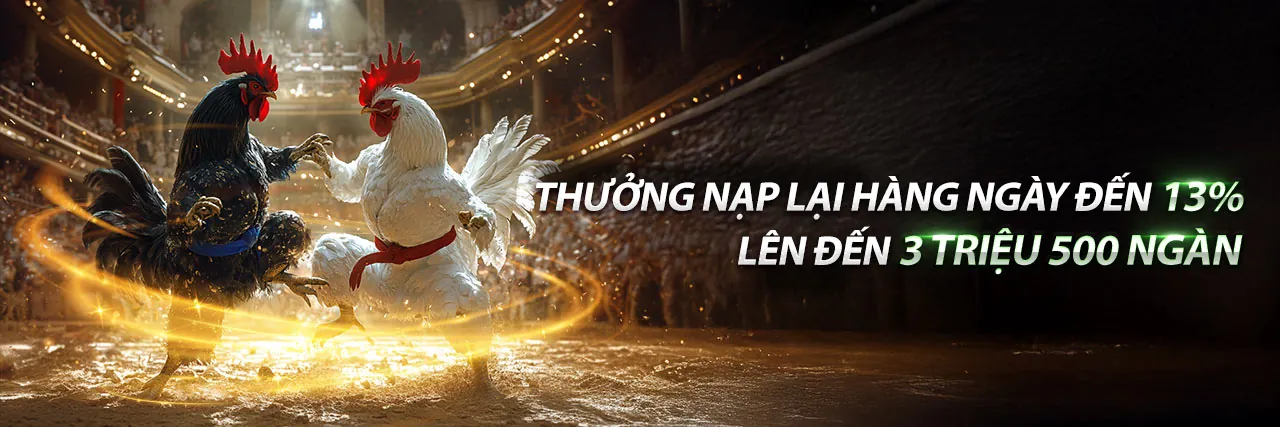Đá gà trực tuyến sôi động tại appn188